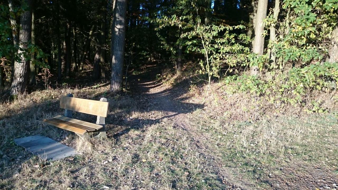 Ferienwohnung Mitwitz Kronach Neustadt Coburg - Erholung, Wandern Uvm. Sehr Ruhig Gelegen Экстерьер фото
